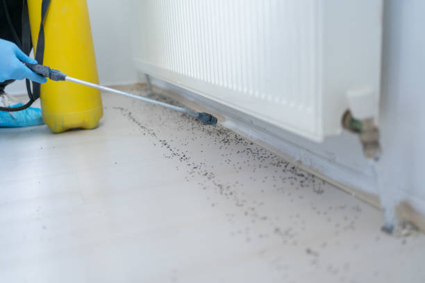 Best Pest Removal Services  in Northumberland, PA